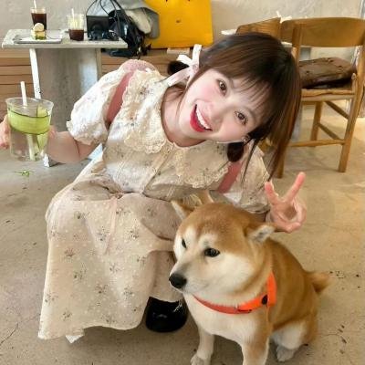 再见少女时代